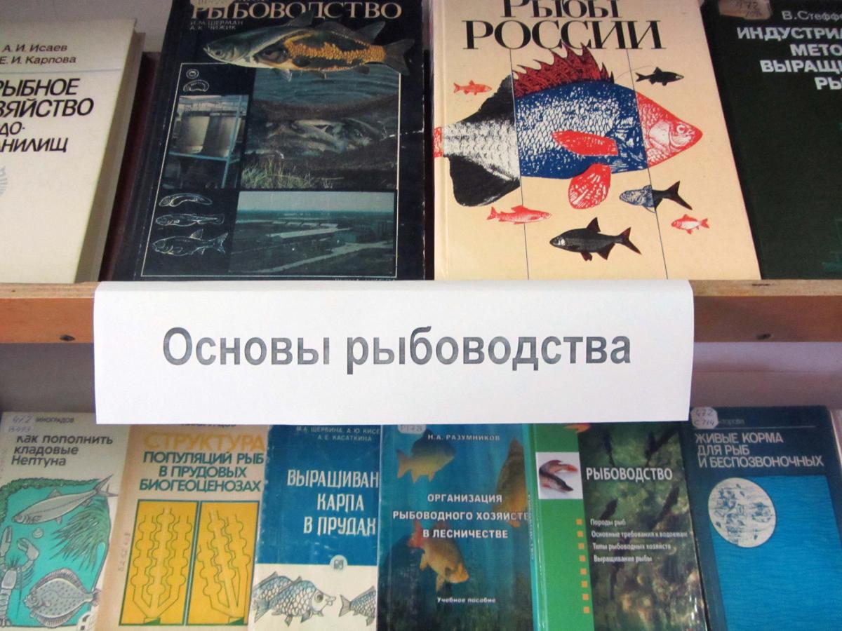 книжные выставки о рыбалке