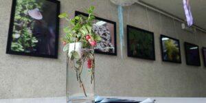 Изображение - Приглашаем на открытие выставки «Невидимая красота»