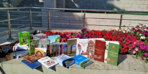 Изображение - Летняя школа комплектатора – на книжном фестивале
